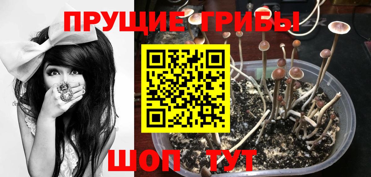 Ревда  Псилоцибиновые грибы мицелий  Псилоцибиновые грибы ЛСД  Вход с VPN 