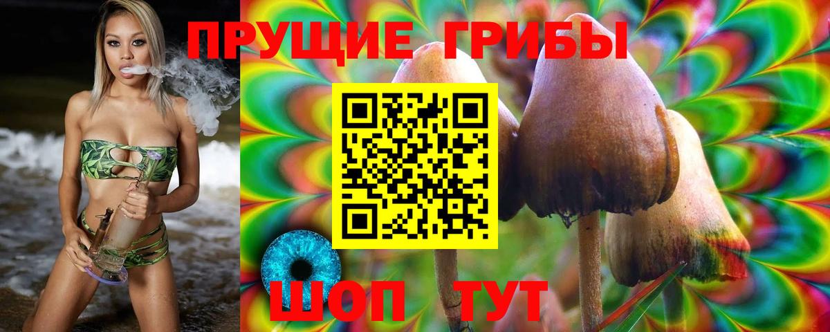 Псилоцибиновые грибы GOLDEN TEACHER Ревда