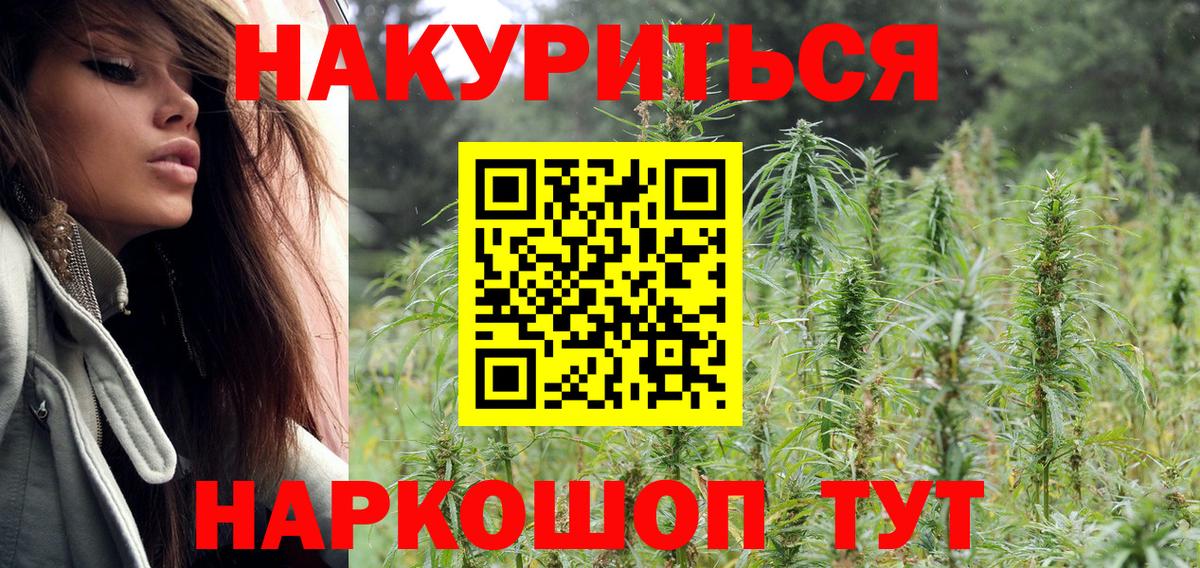 Бошки марихуана планчик  Вход с VPN  МАРИХУАНА ГИДРОПОН  Ревда  МАРИХУАНА сатива  Бошки марихуана конопля 